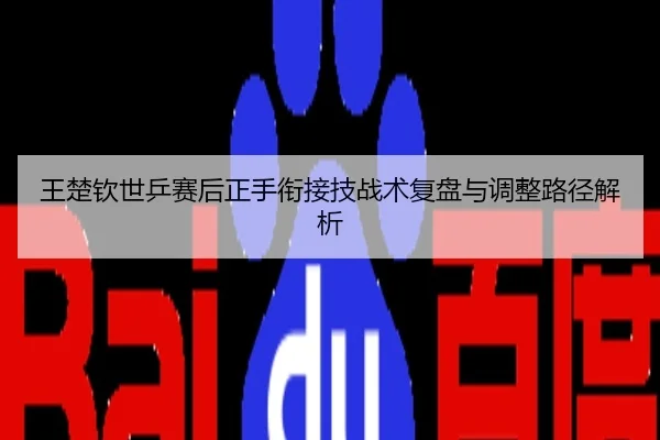 王楚钦世乒赛后正手衔接技战术复盘与调整路径解析