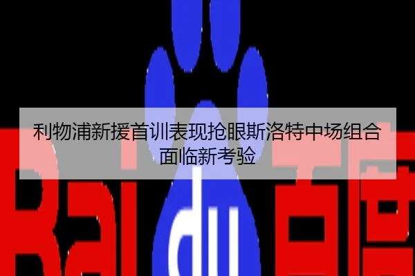 利物浦新援首训表现抢眼斯洛特中场组合面临新考验